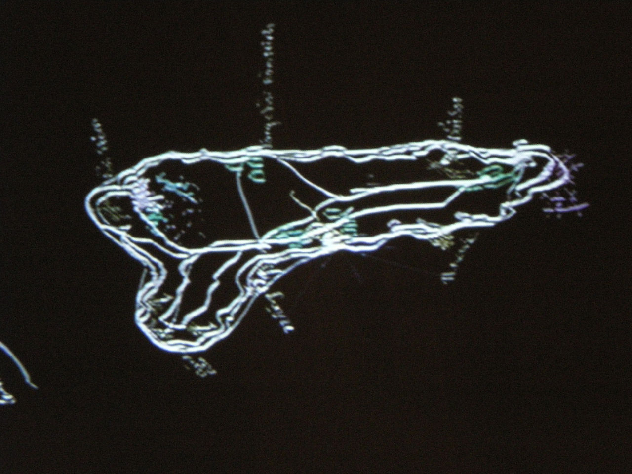 Photographic documentation of RYLLEGA Berlin (Presentation by Veronika Witte, 27 September 2008)